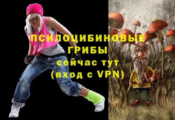 дурь Аркадак