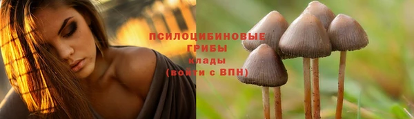 дурь Аркадак